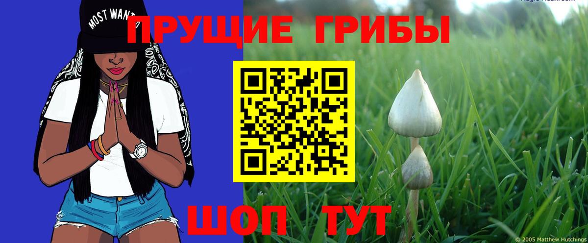 Псилоцибиновые грибы прущие грибы  купить наркотики сайты  Энгельс  Вход с VPN 